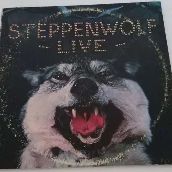 Steppenwolf, Live  (Double album)